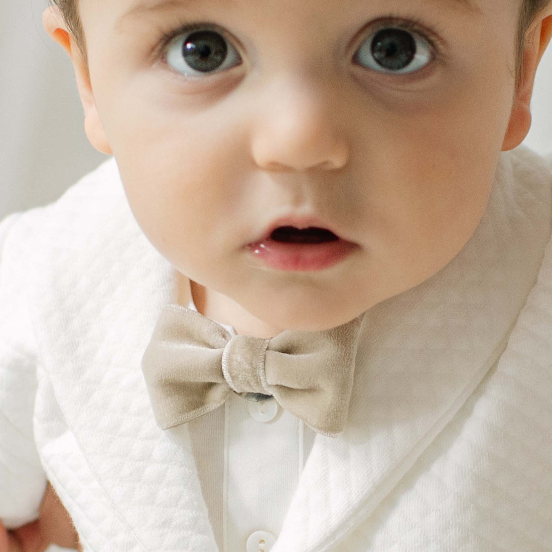 Braden Velvet Bow Tie & Boutonniere