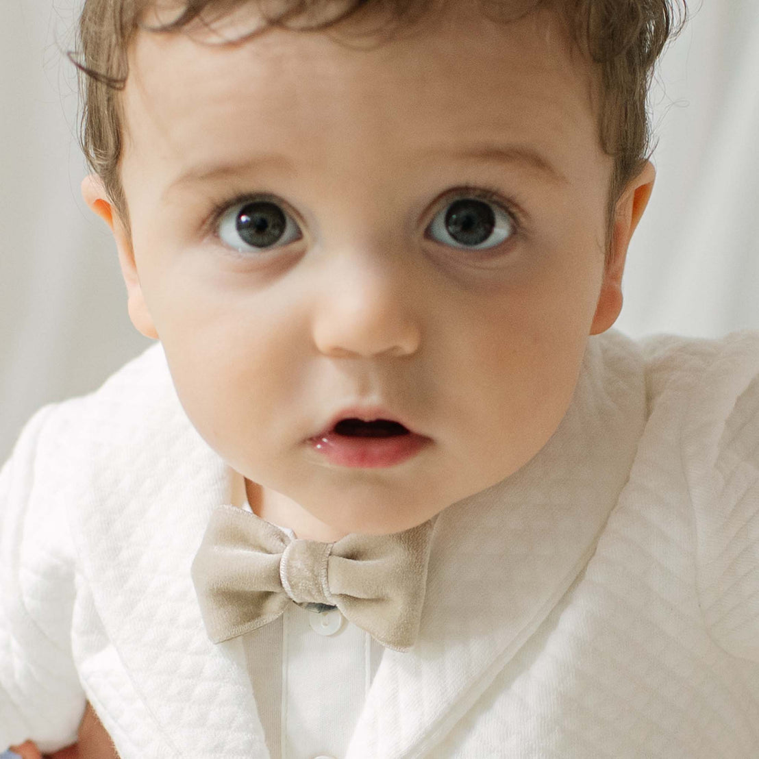 Braden Velvet Bow Tie & Boutonniere