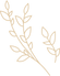 Illustration of two slender branches with simple leaves, drawn in gold lines on a transparent background.